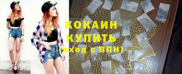 шишки Липки