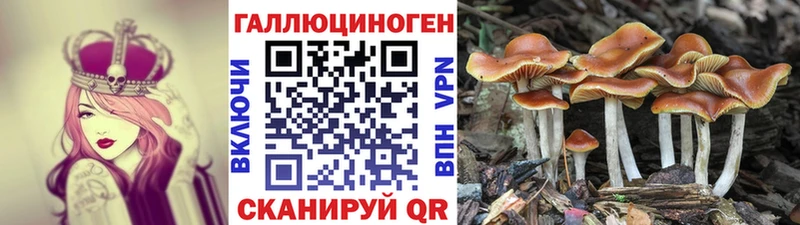 Галлюциногенные грибы Magic Shrooms  Урень 